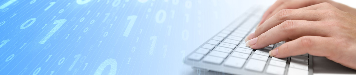 vspr.d.webcom.vn