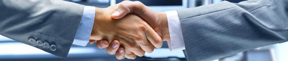 vspr.d.webcom.vn